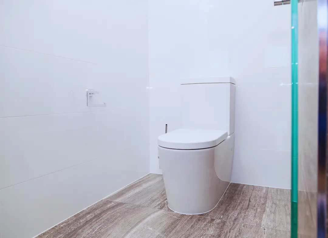 Remplacement de wc Auneau-Bleury-Saint-Symphorien